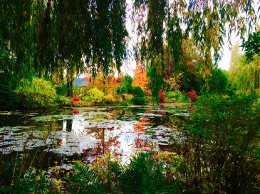 Waterlily Pond in Monet's Garden